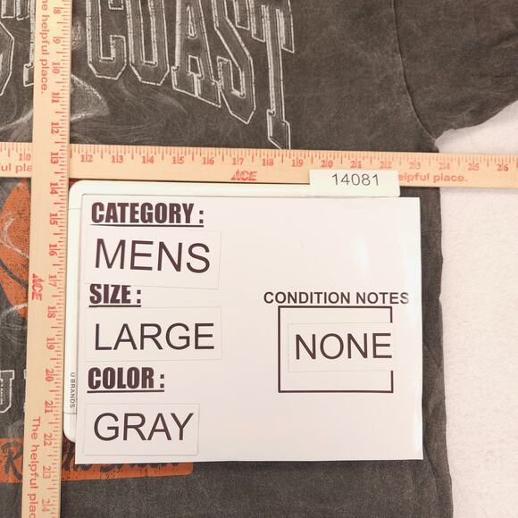 PacSun Casual Crew Neck Short Sleeve Striped T Shirt Mens Size Large L Gray - Picture 7 of 9